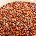 ORGANIC NAVARA RICE