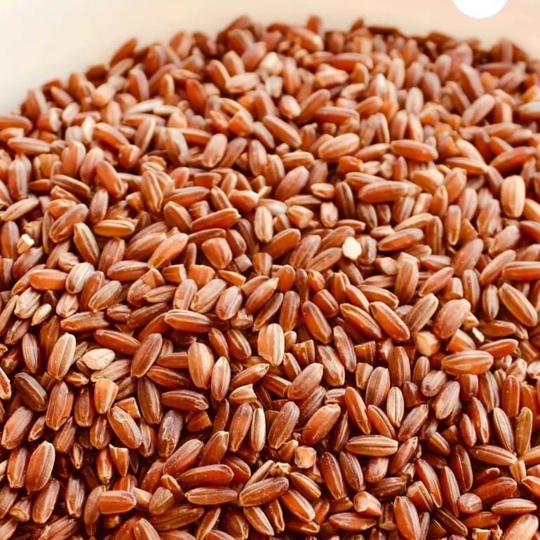 ORGANIC NAVARA RICE