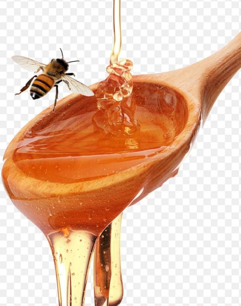 ORGANIC WILD FOREST HONEY