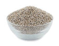 PEARL MILLET HYBRID