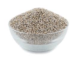 PEARL MILLET HYBRID