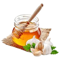 ORGANIC GARLIC HONEY