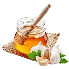 ORGANIC GARLIC HONEY