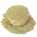 PEARL MILLET DOMESTIC
