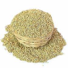PEARL MILLET DOMESTIC