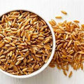 ORGANIC SAMBA WHEAT