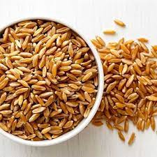 ORGANIC SAMBA WHEAT